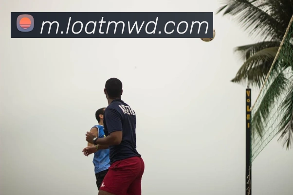 App Interface Preview